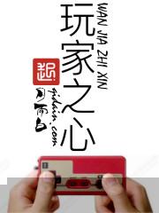 玩家之心